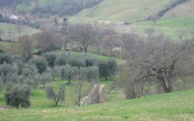 Agriturismo Casa Fibbianello