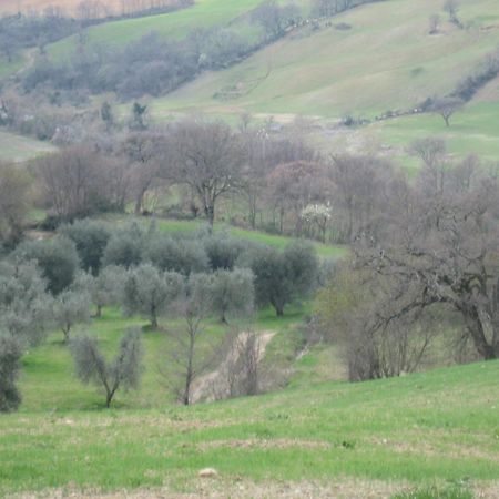 Agriturismo Casa Fibbianello Semproniano Buitenkant foto