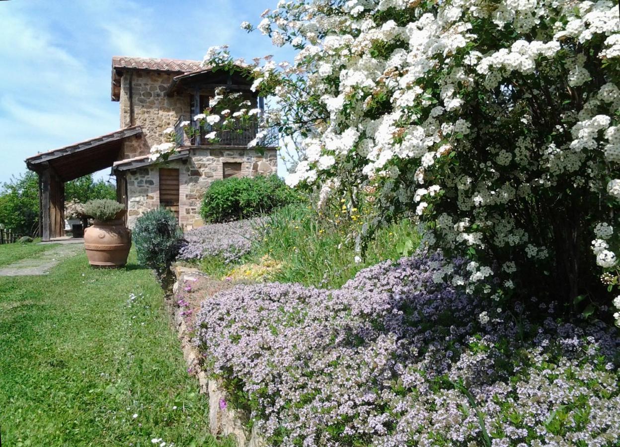 Agriturismo Casa Fibbianello Semproniano Buitenkant foto