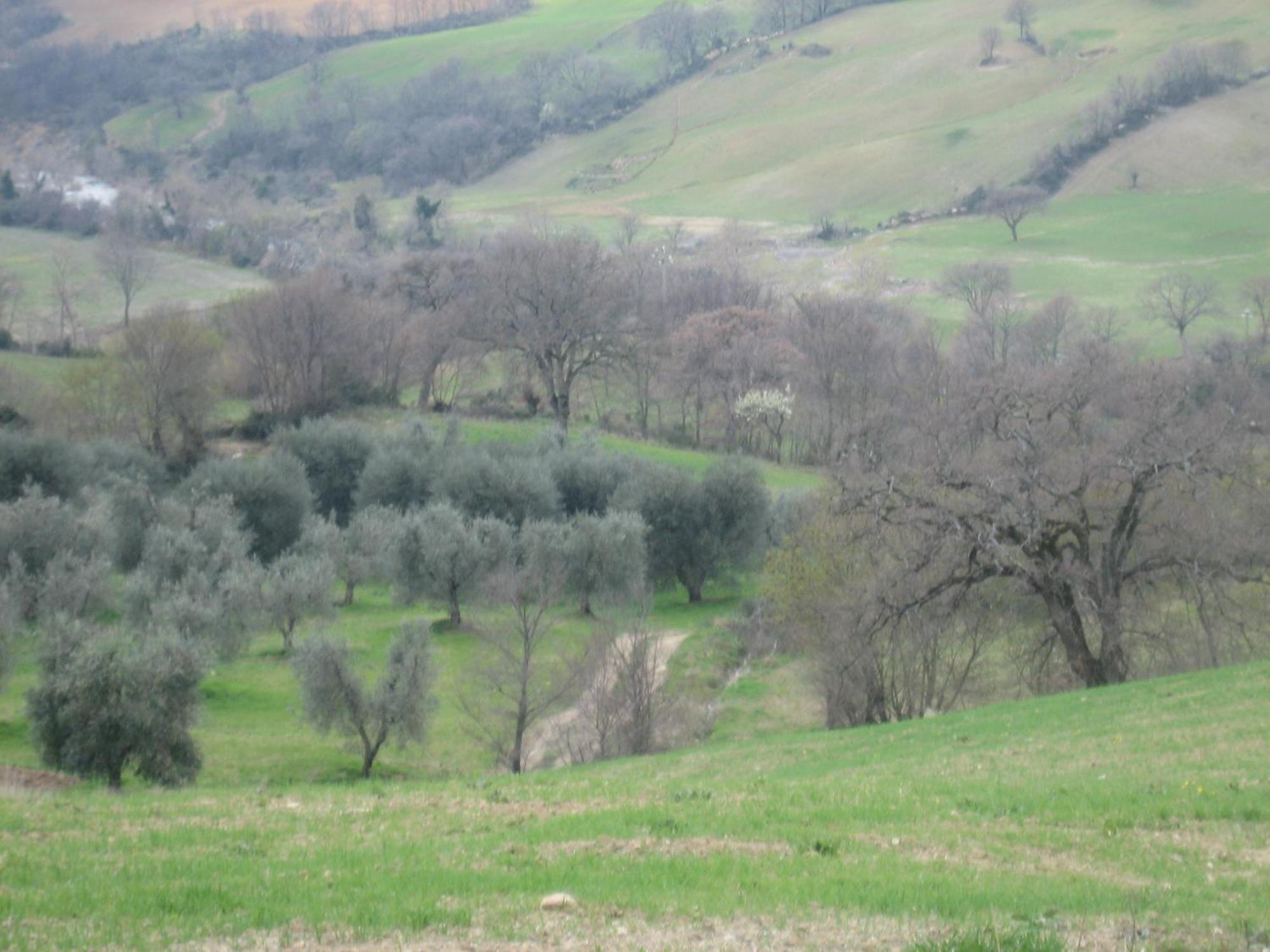 Agriturismo Casa Fibbianello Semproniano Buitenkant foto