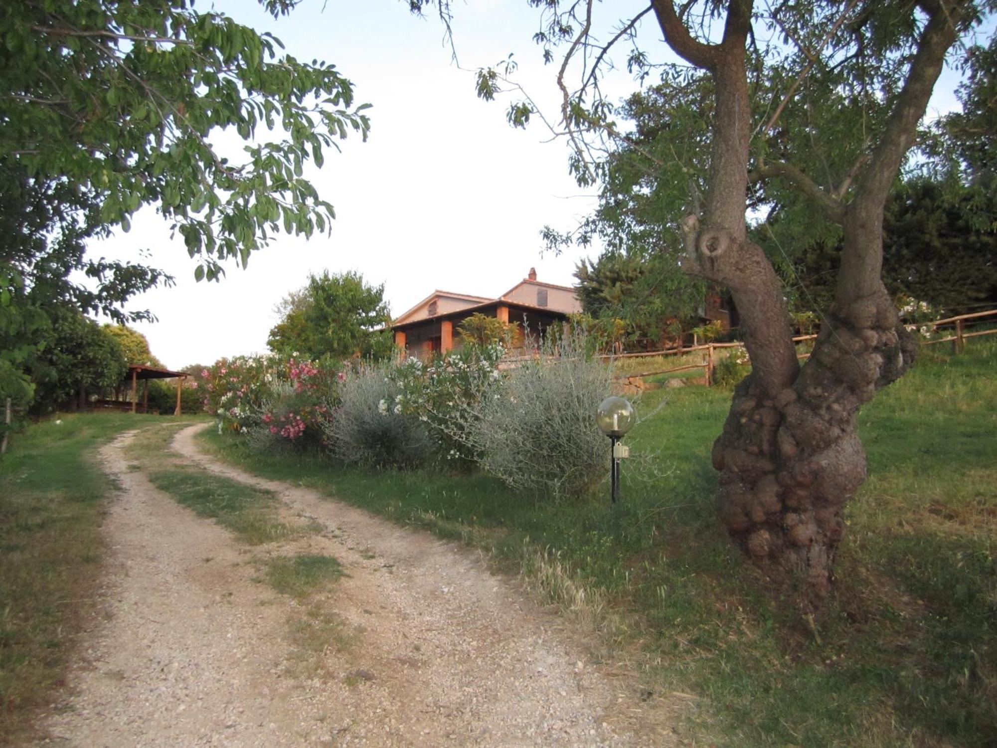 Agriturismo Casa Fibbianello Semproniano Buitenkant foto