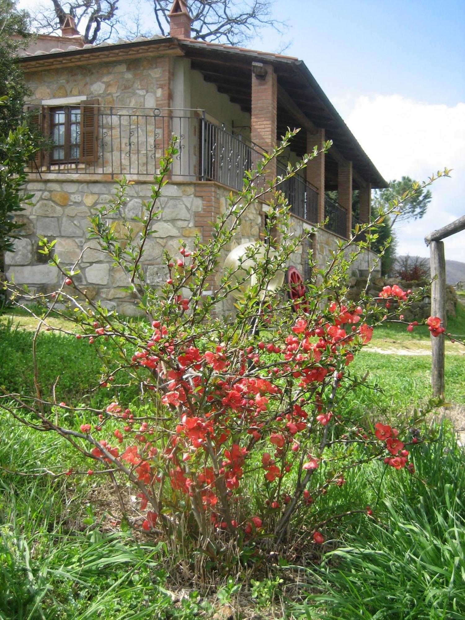 Agriturismo Casa Fibbianello Semproniano Buitenkant foto