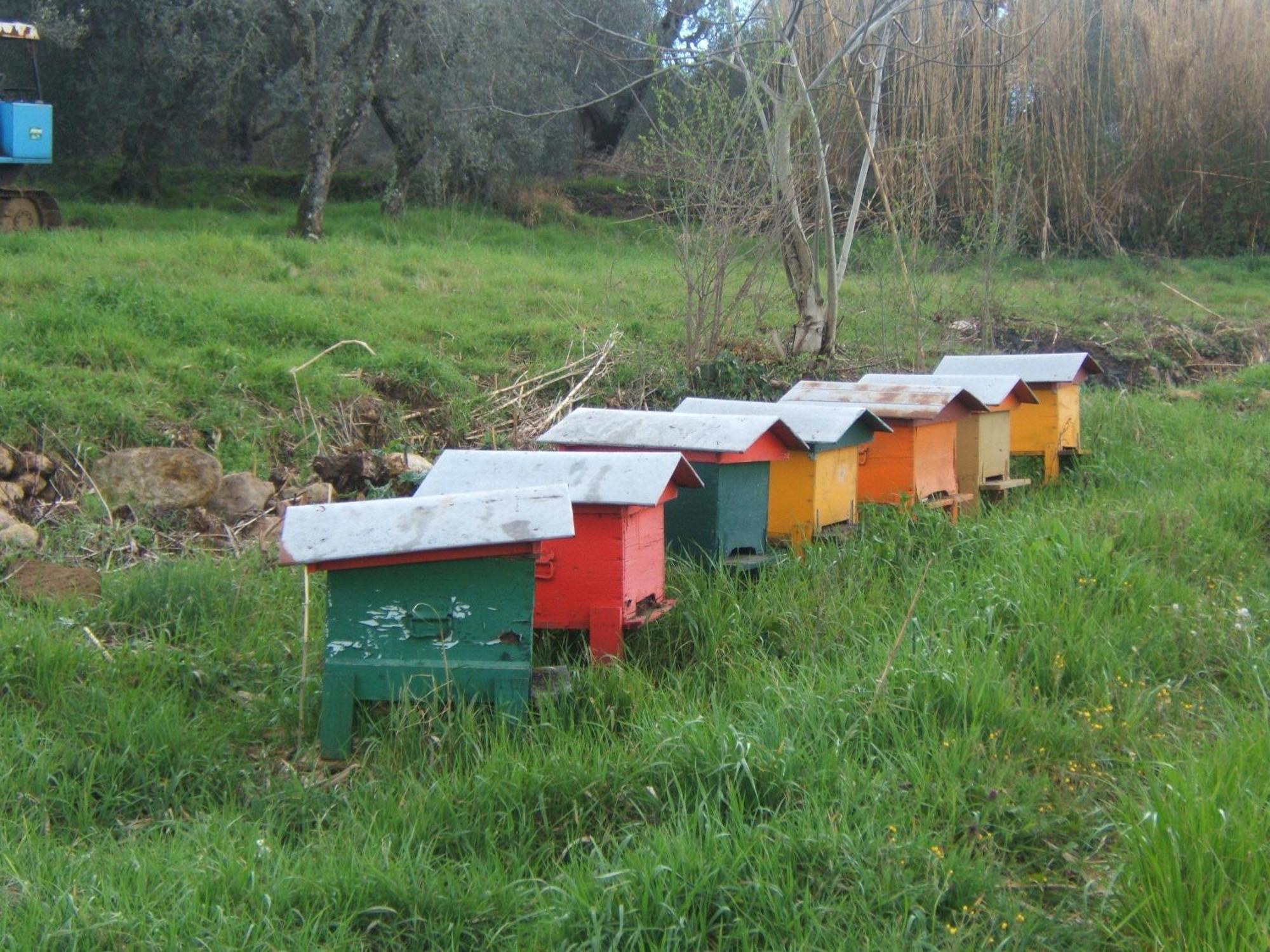 Agriturismo Casa Fibbianello Semproniano Buitenkant foto