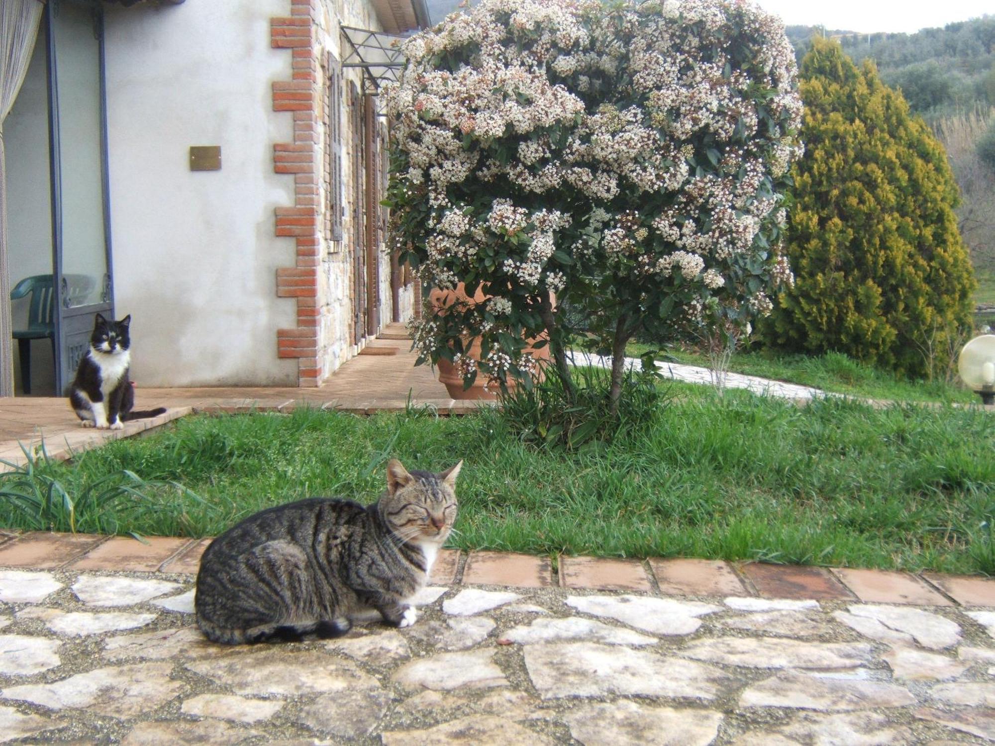 Agriturismo Casa Fibbianello Semproniano Buitenkant foto