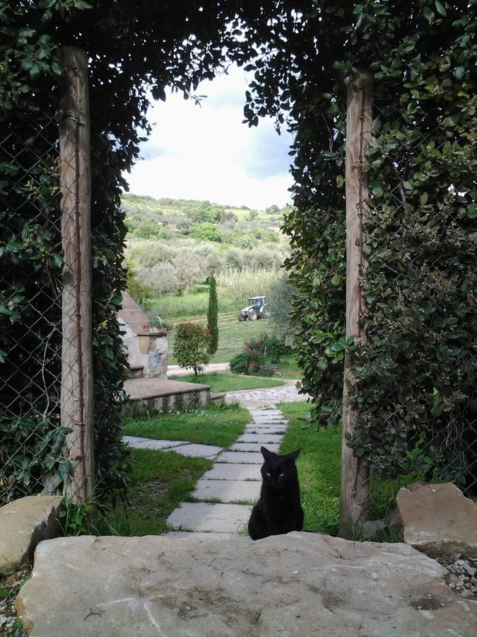 Agriturismo Casa Fibbianello Semproniano Buitenkant foto